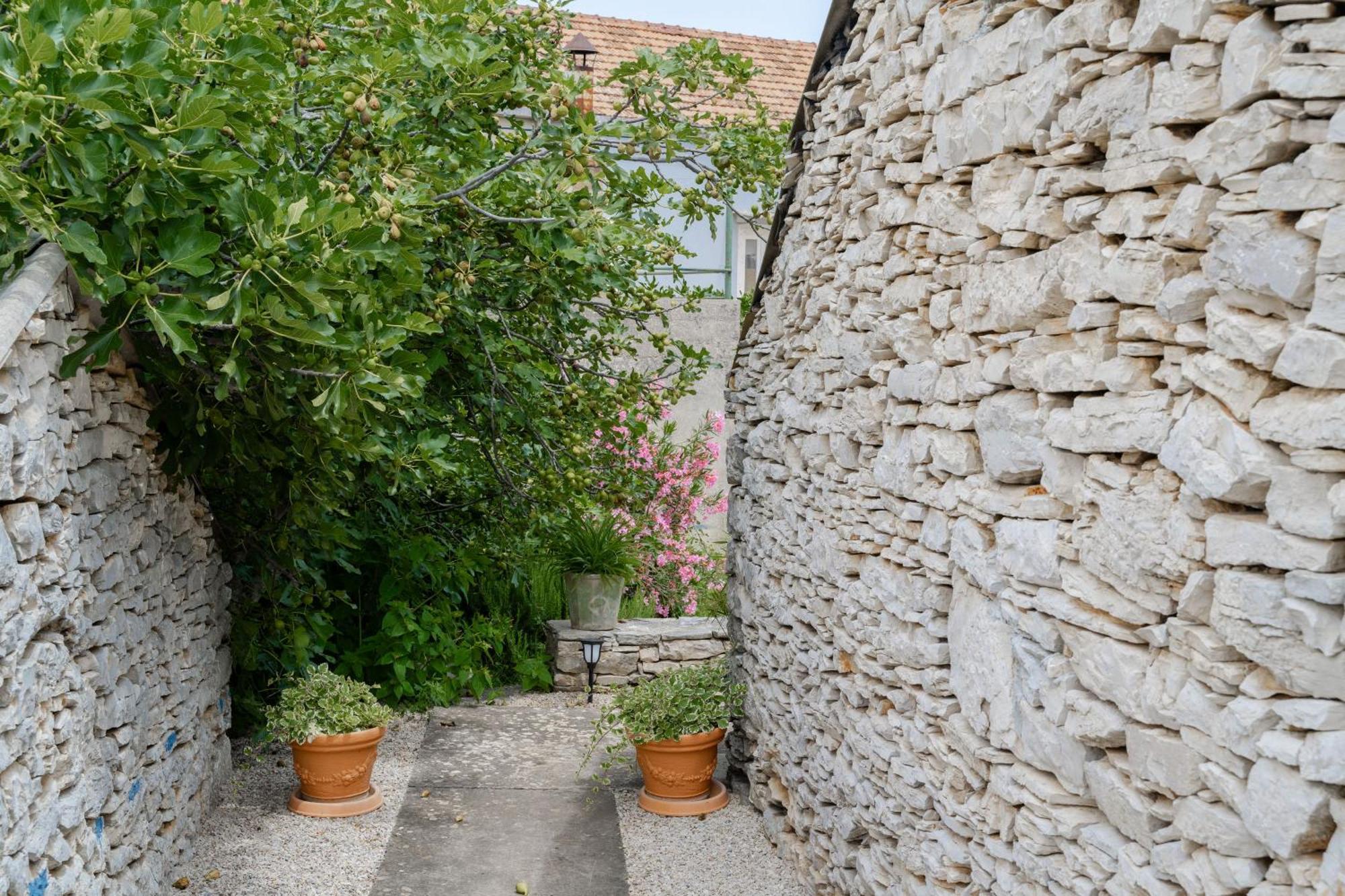 Garden Apartment Vela Luka Exterior foto